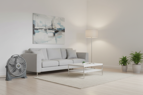 Dora Fan in Modern Room